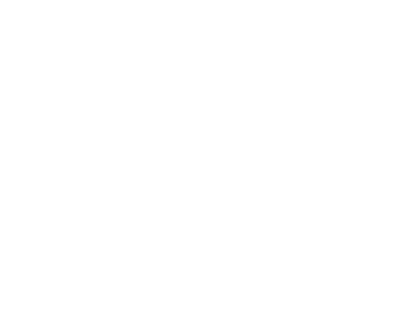 Report-essentials-05.png