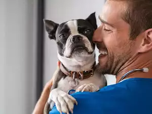Capria Ventures - everything you need to know before getting a pet dog