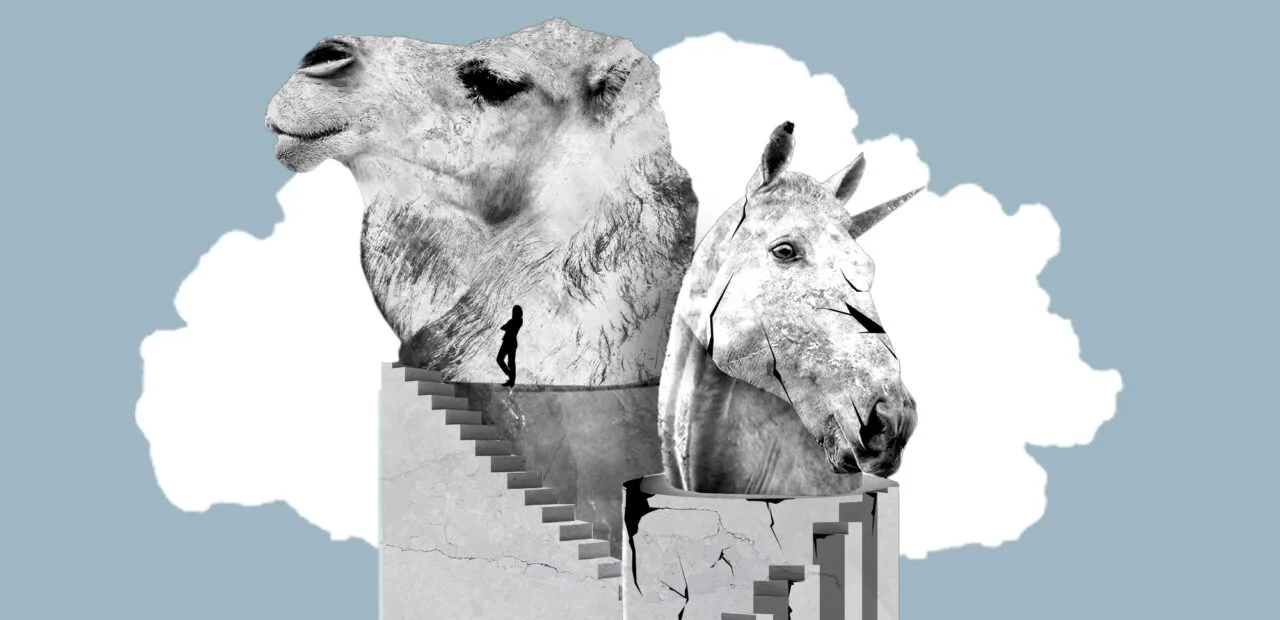 Capria Ventures - CAMELLOUNICORNIO
